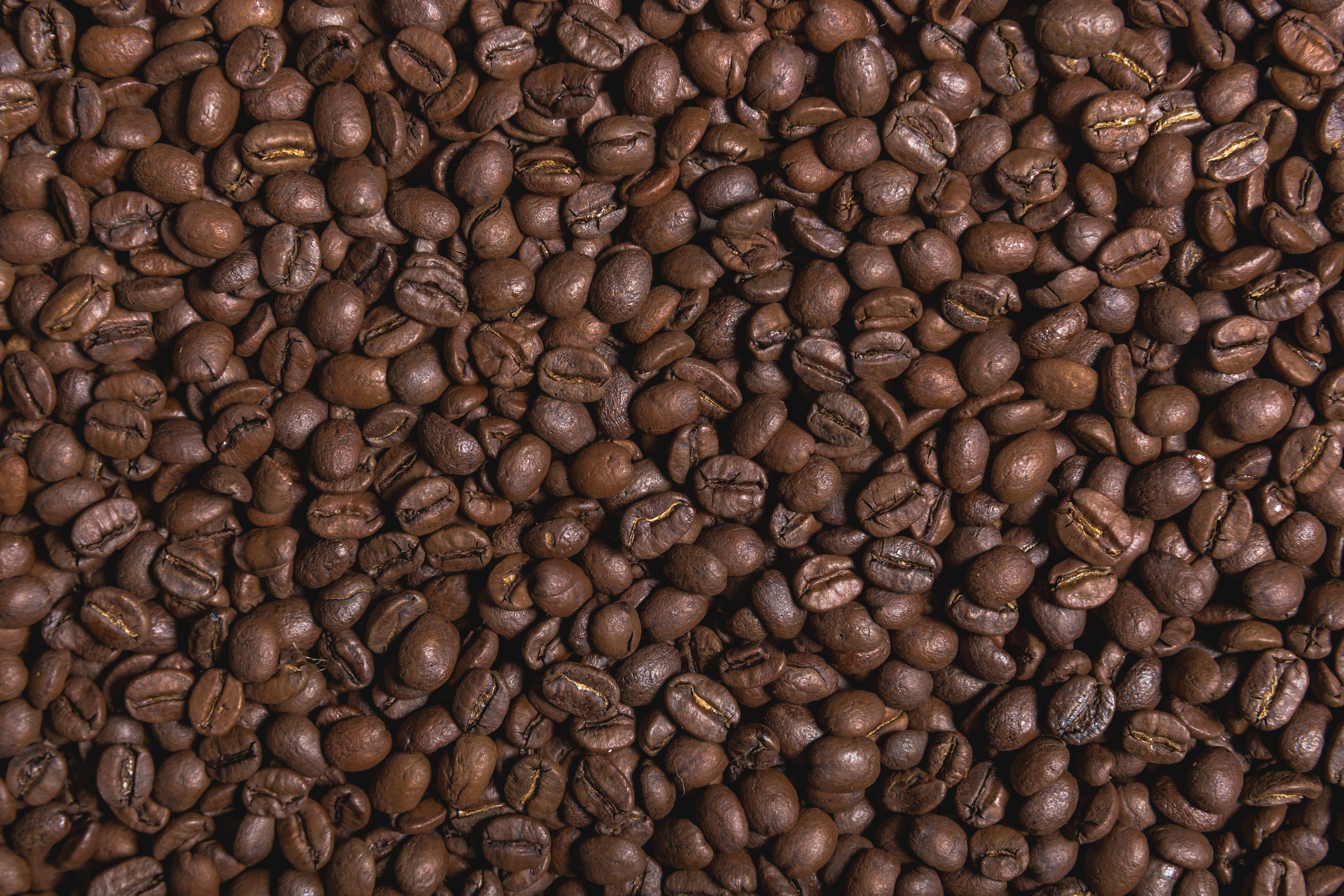 collection-banner-image